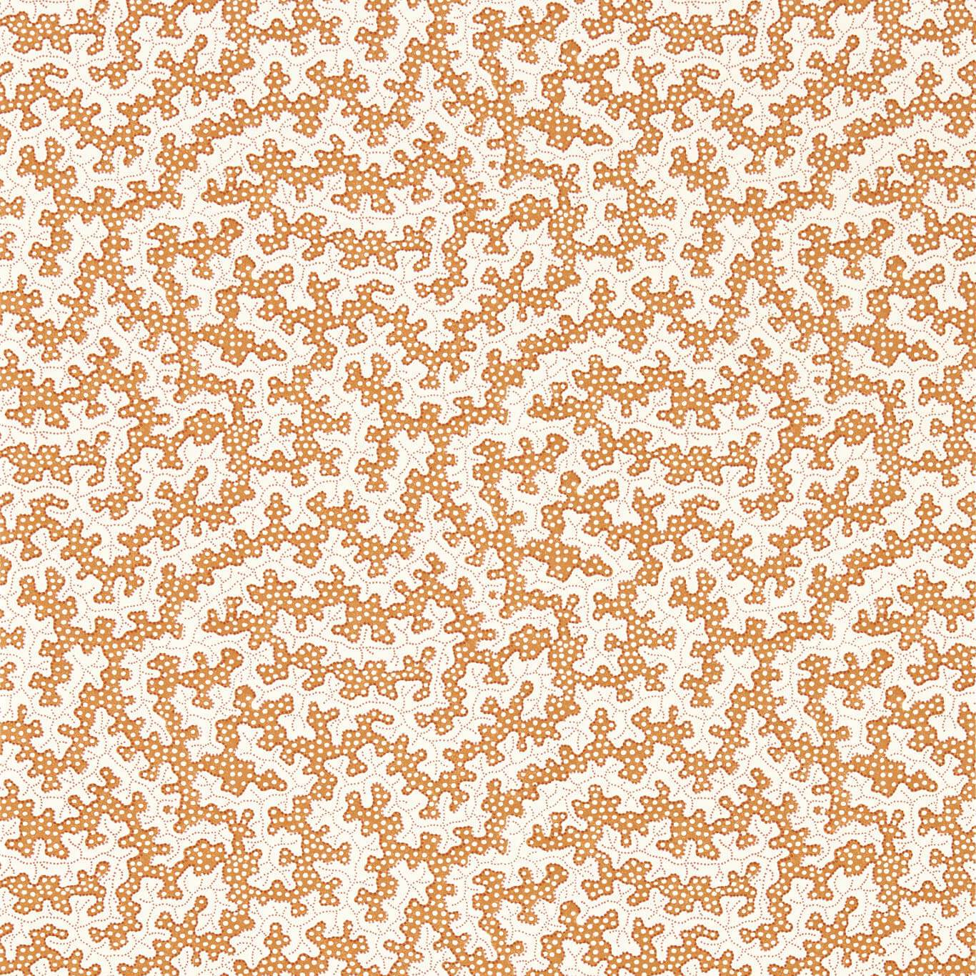 Truffle 217242